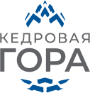 создание сайта для бренда
